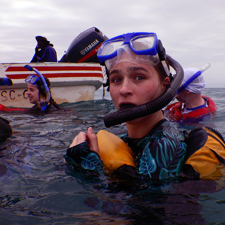 Snorkeling and Reef Study